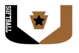 logo tee pick